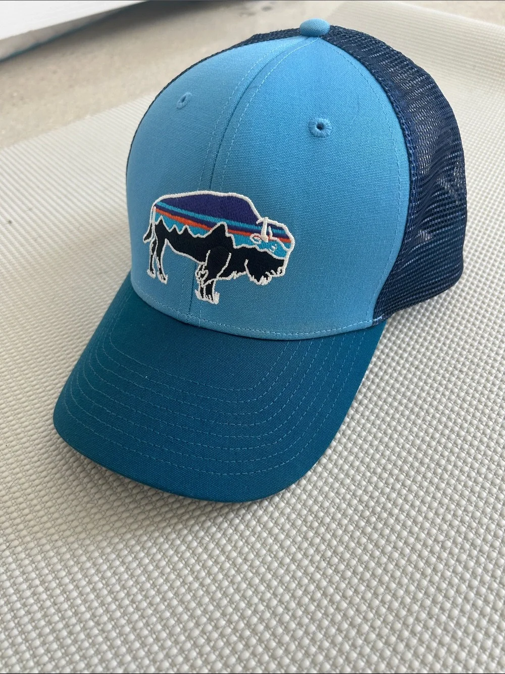 PATAGONIA Fitz Roy Bison Trucker Hat Blue Buffalo Patch